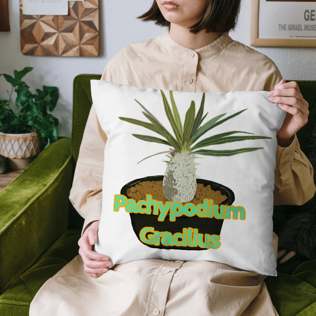 momoのPachypodium Gracilius Cushion