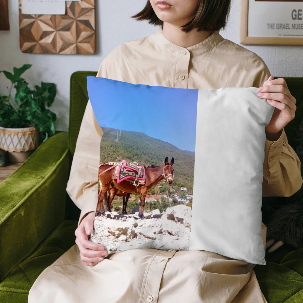 toys0のシャオリー君🐴 Cushion