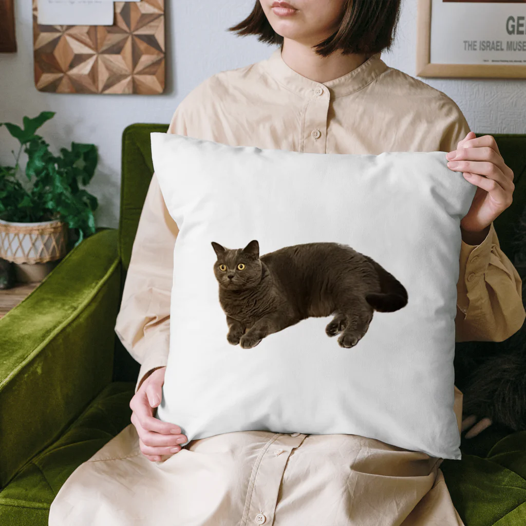 rice_avenueの猫のルパンくん Cushion