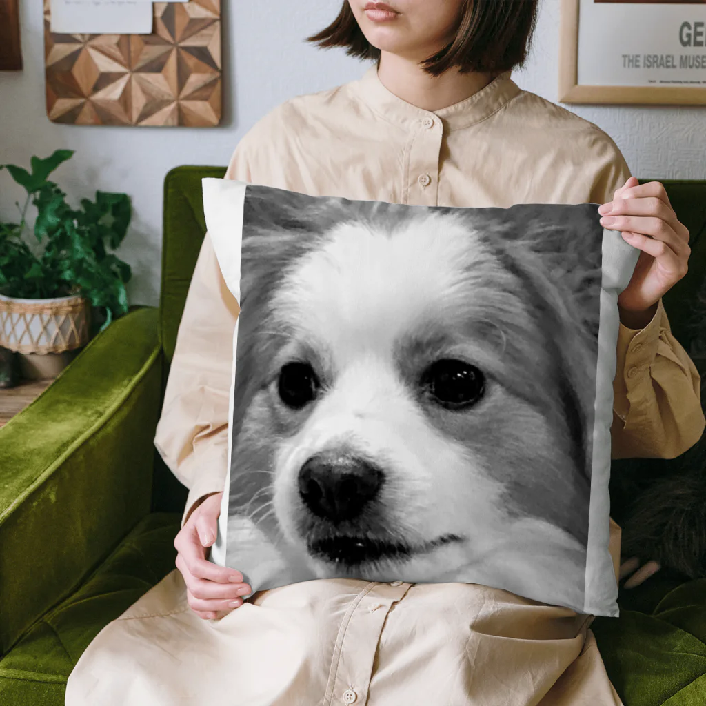 てんあげの謎犬 Cushion