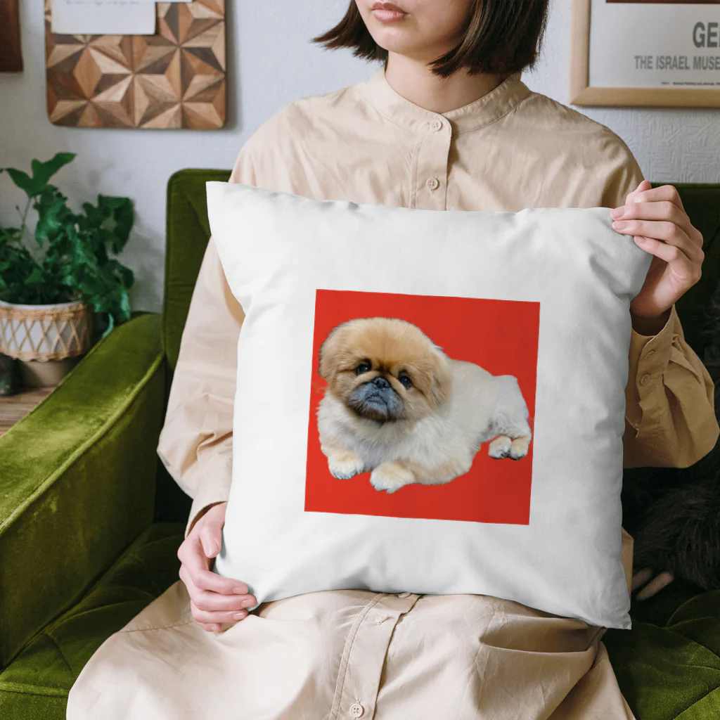 mamのペキニーズの風太くん Cushion