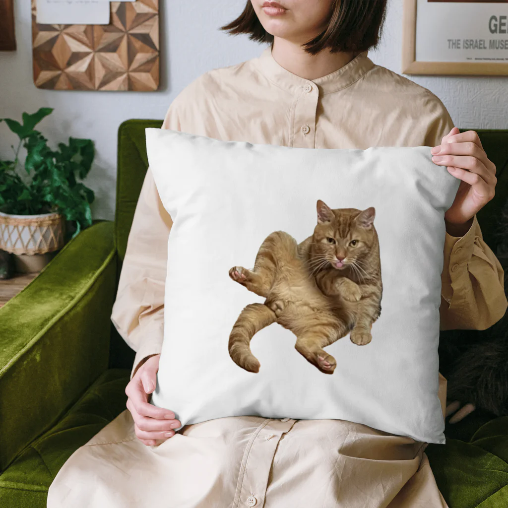 茶太郎🐱とモンブランの茶太郎のヤベッ！シリーズ Cushion