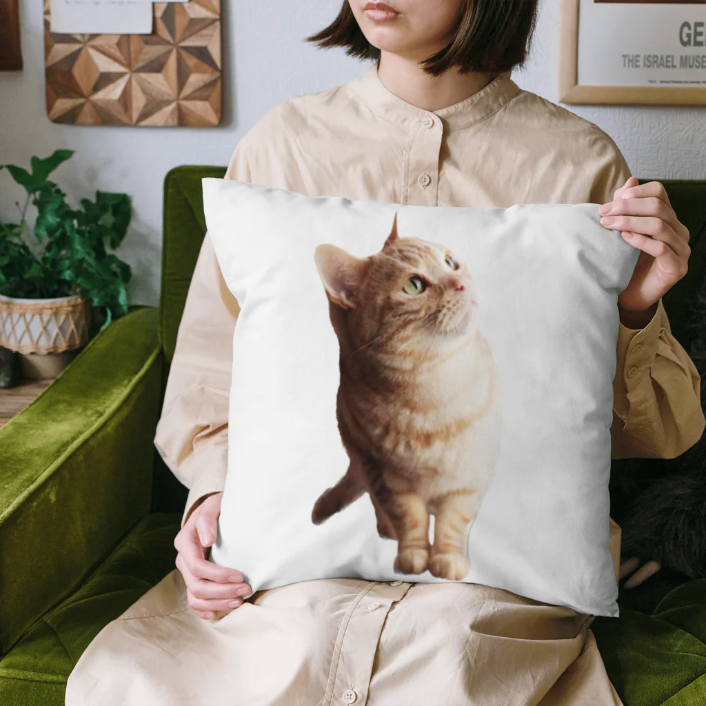 みんなのアイドルめーたんのみんなのアイドルめーたん Cushion