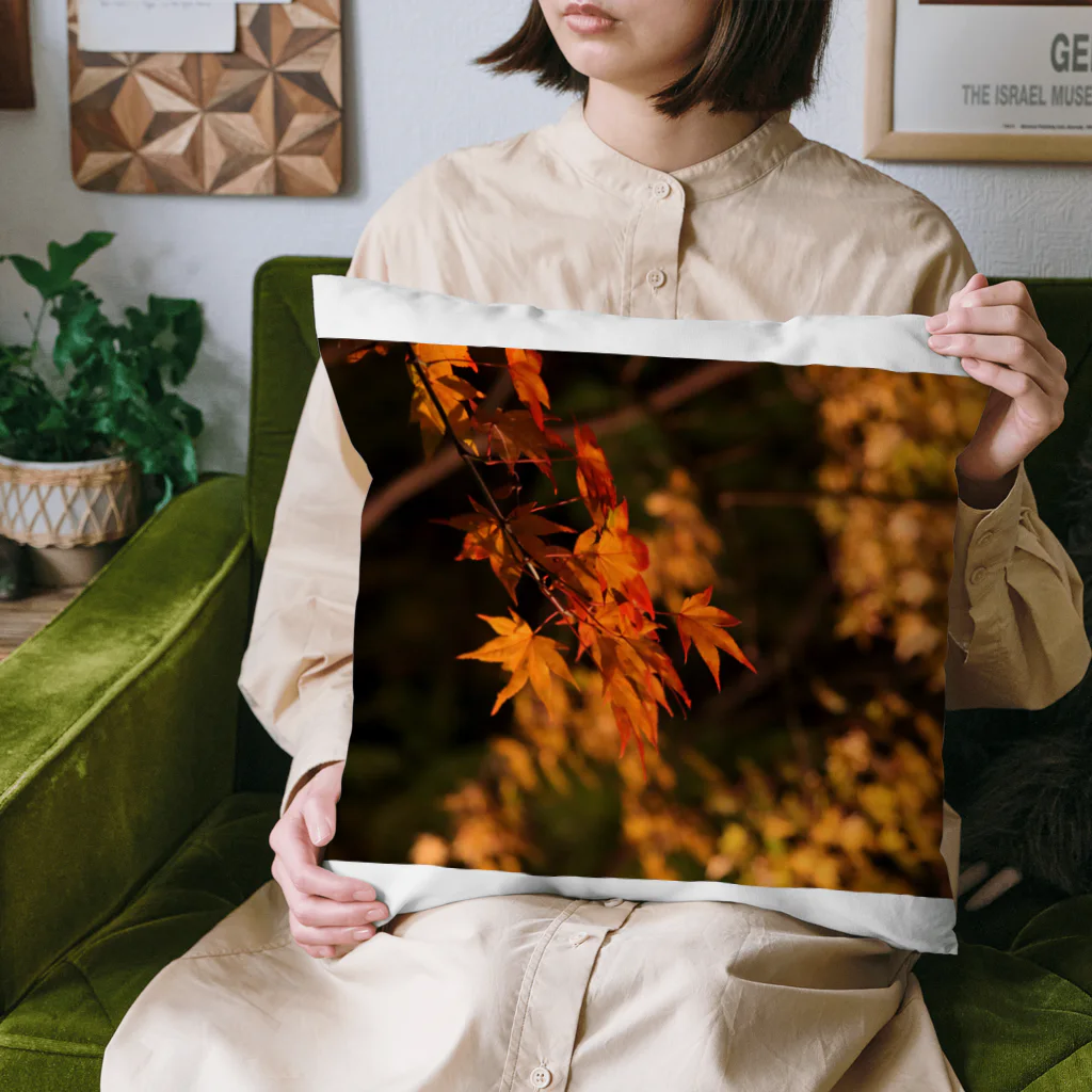 nokkccaのライトアップ紅葉 - Japanese maple(night shot) - Cushion