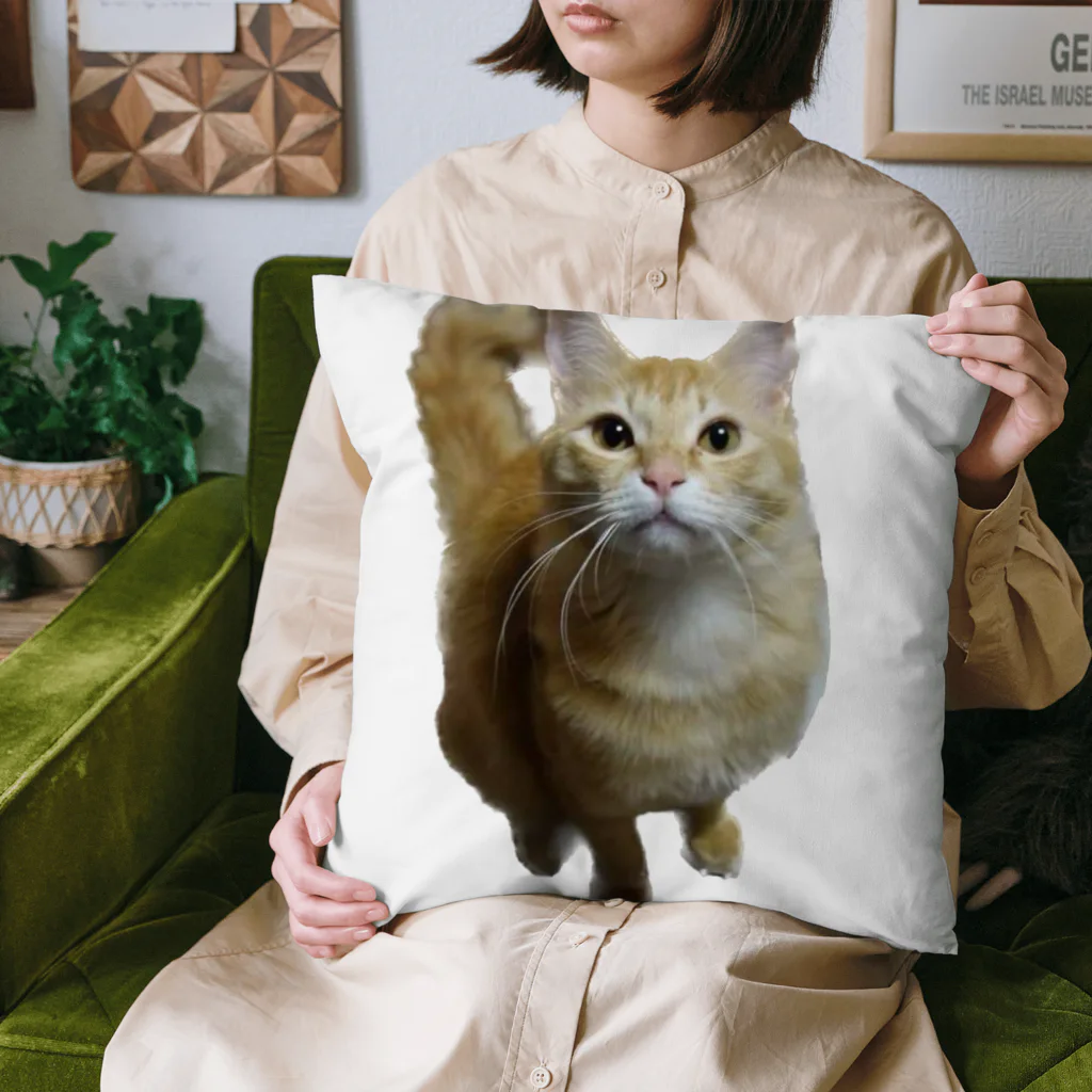 トロールショップの我が家のお猫様が見てます(笑) Cushion