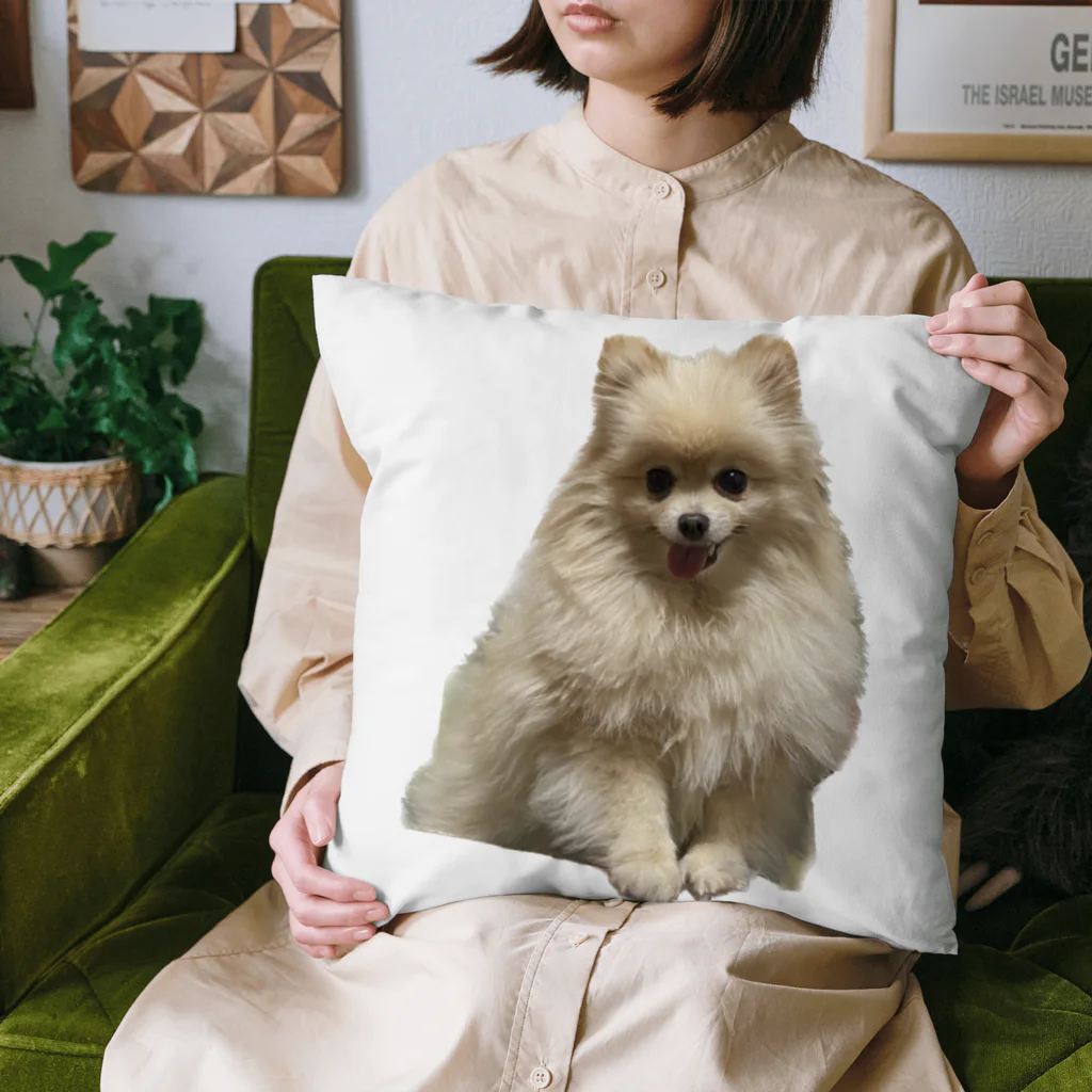 mocchimochiyazoの玉 Cushion