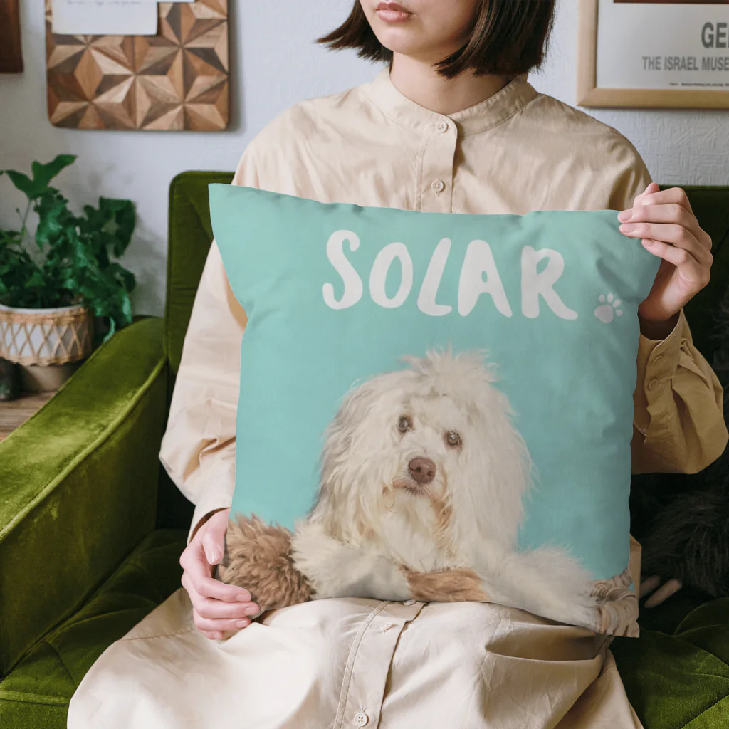 Solar_0513のsolar Cushion