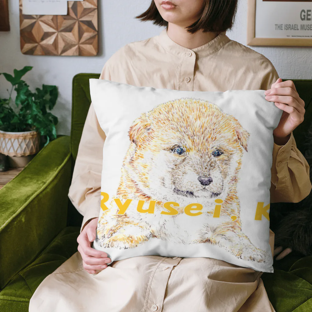 佳山隆生　アートギャラリーのRyusei,Kシリーズ【柴仔犬】 Cushion