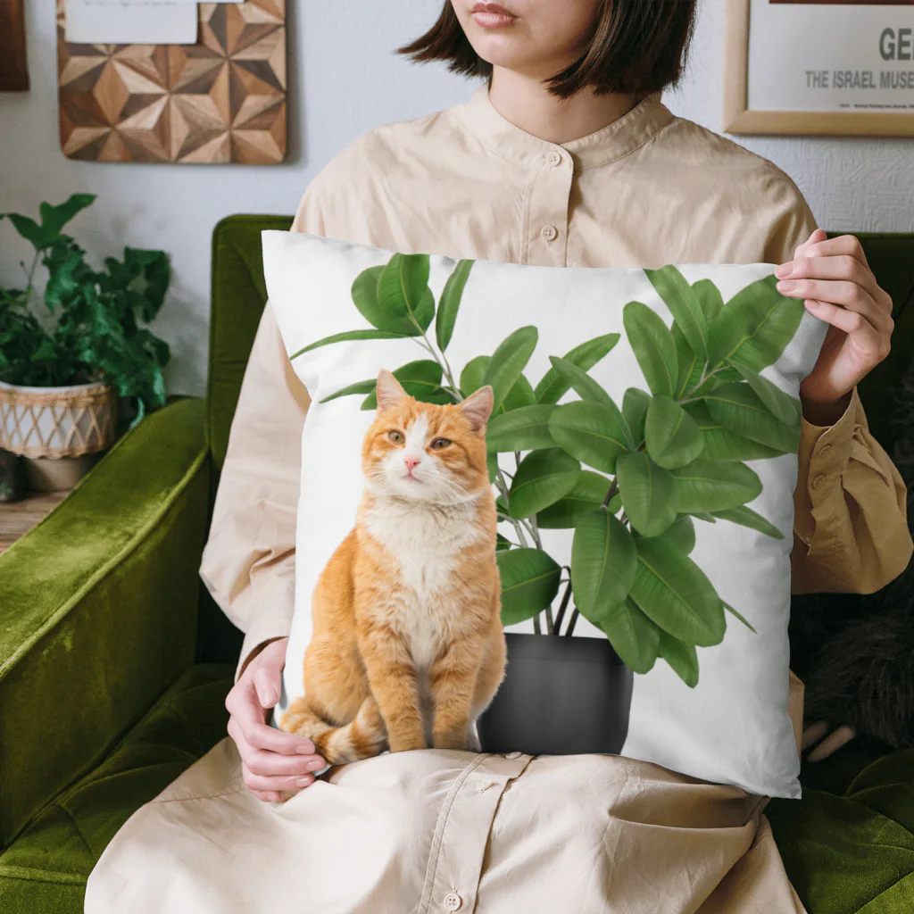 𝙈𝙊𝙈𝙊'𝙨 𝙎𝙝𝙤𝙥の植物とねこ Cushion