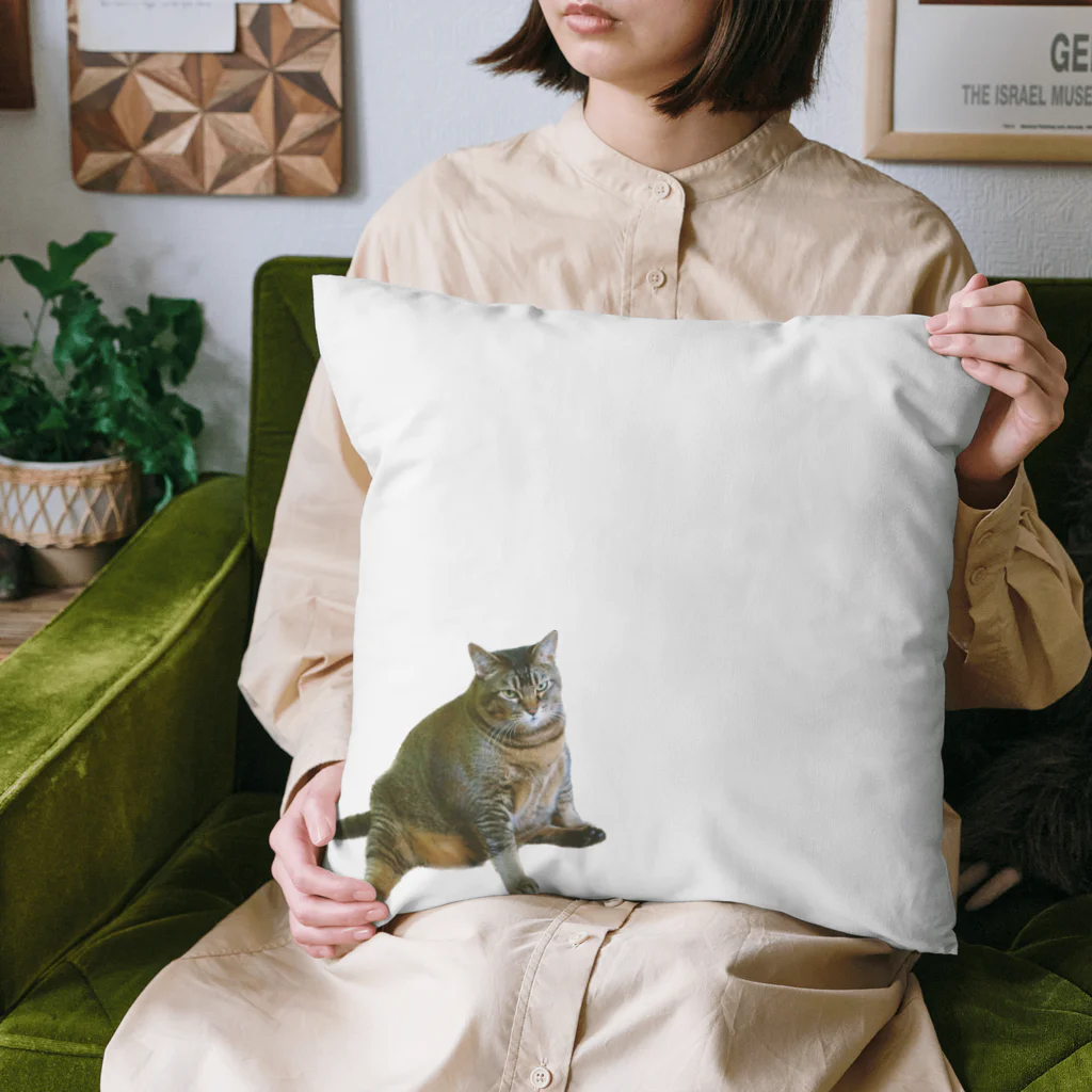 フィルムカメラ屋さんのライ Cushion