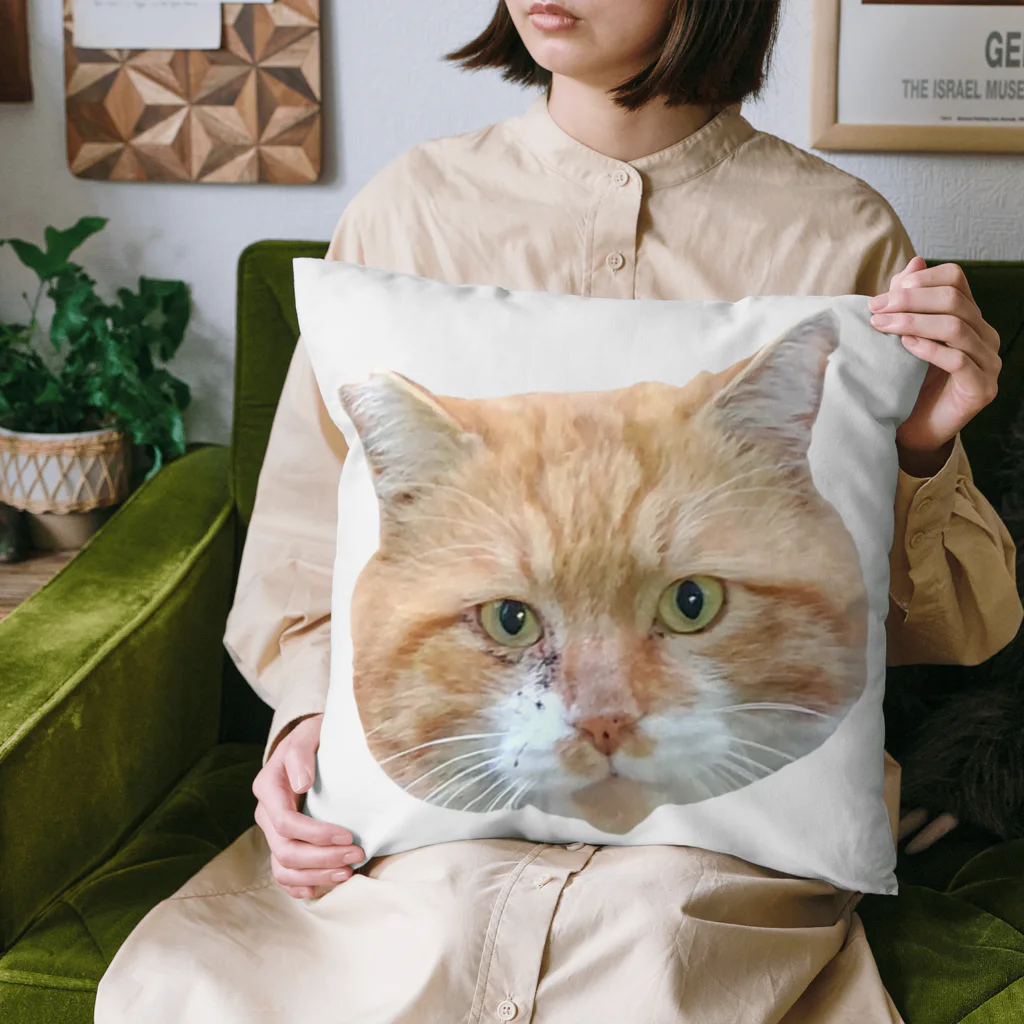 私のお店のような何かのむくむくさん(顔面) Cushion