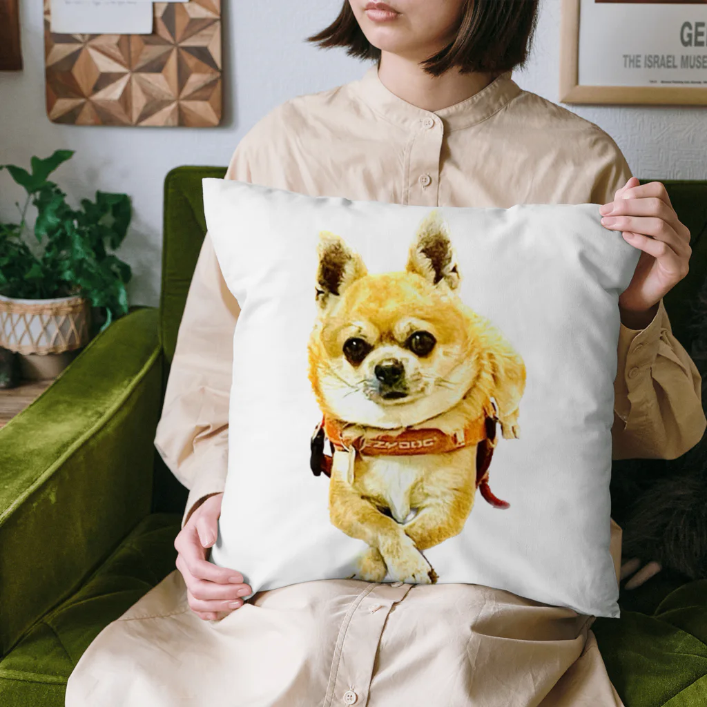 Attaka Official StoreのCHOCO MONBRAN Cushion