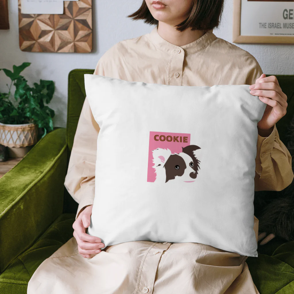 Bordercollie Streetのcbr33 Cushion