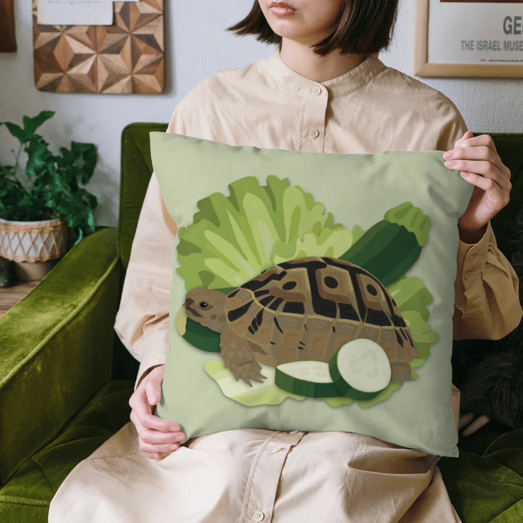 カメの歩みのギリシャリクガメズ Cushion