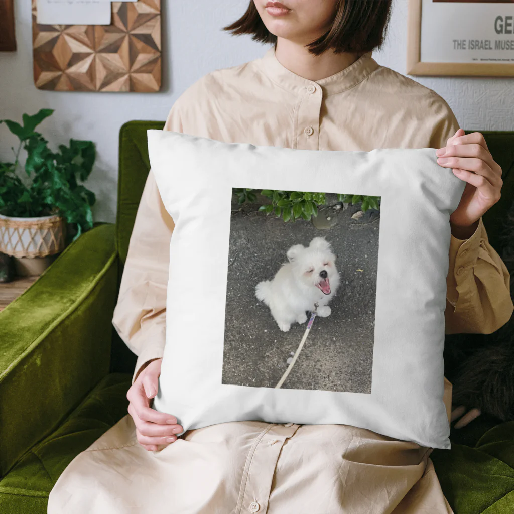 マフィロン同盟のマフィロン　あくび Cushion