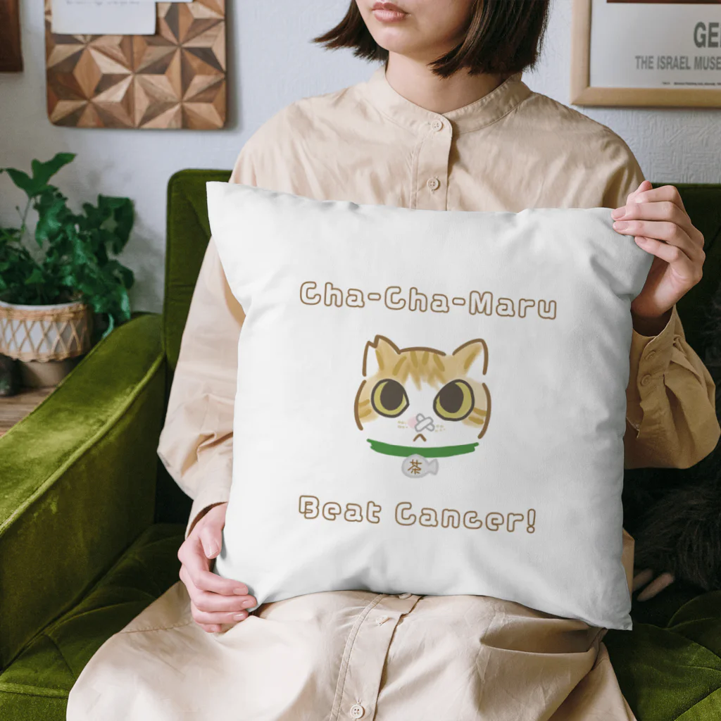 こたろうといっしょの茶々丸、癌をやっつけろ！ Cushion