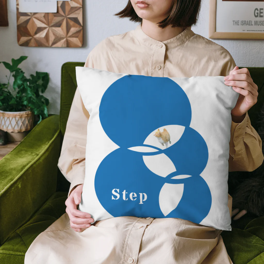 aiueoneko358のStep Cushion