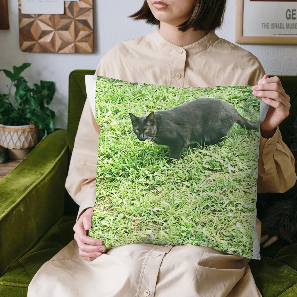 天光のねこ部屋の黒猫カカオの庭 Cushion