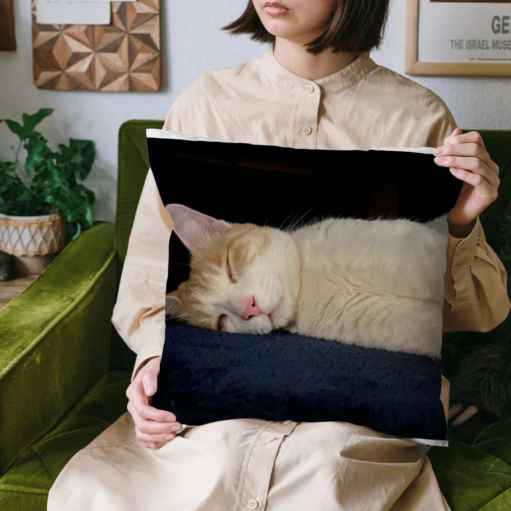 みつりんの夢の境地 Cushion