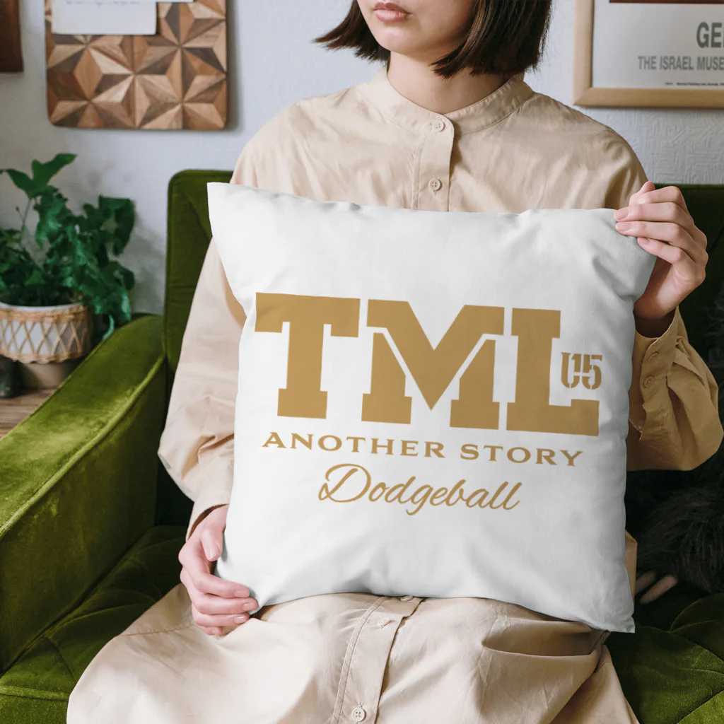 TRSのTML メイン Cushion