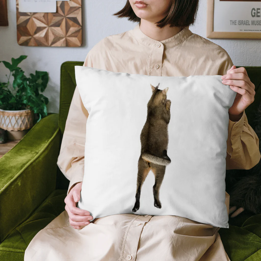 QDAのQAMALくん Cushion