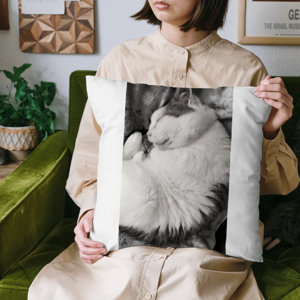 KAZU SHOPの可愛い猫のお昼寝　癒し Cushion