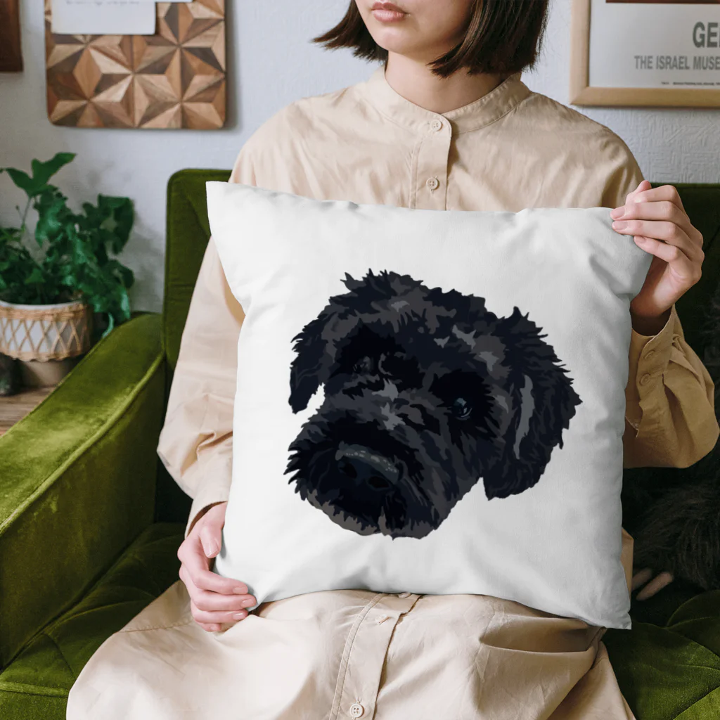 井上アフターバーナーのしゅん太郎くん Cushion