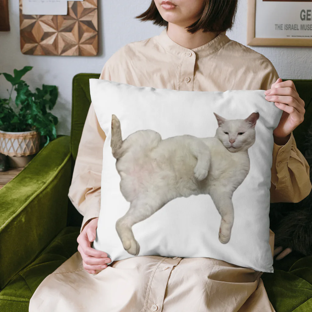 竹城牧場🪼さかかのうちの猫 Cushion