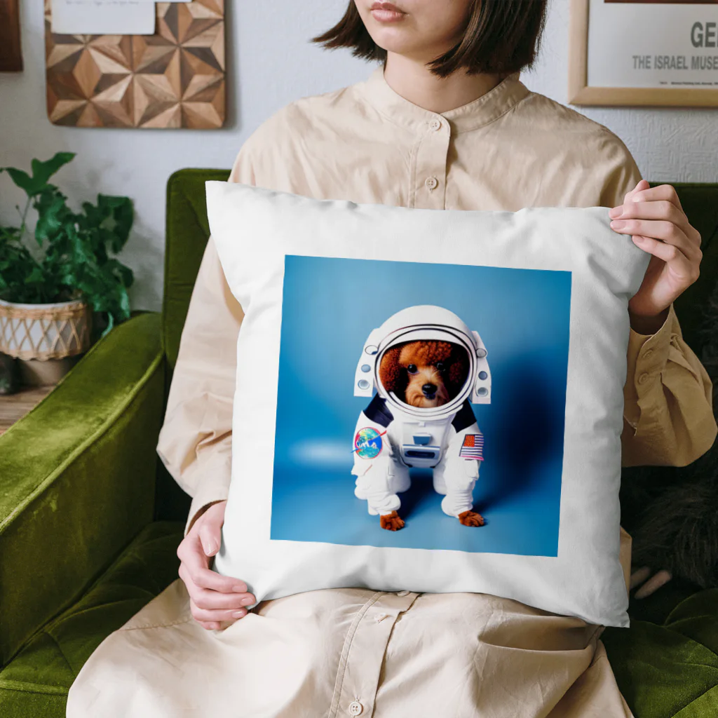 rethelの宇宙に連れてって Cushion