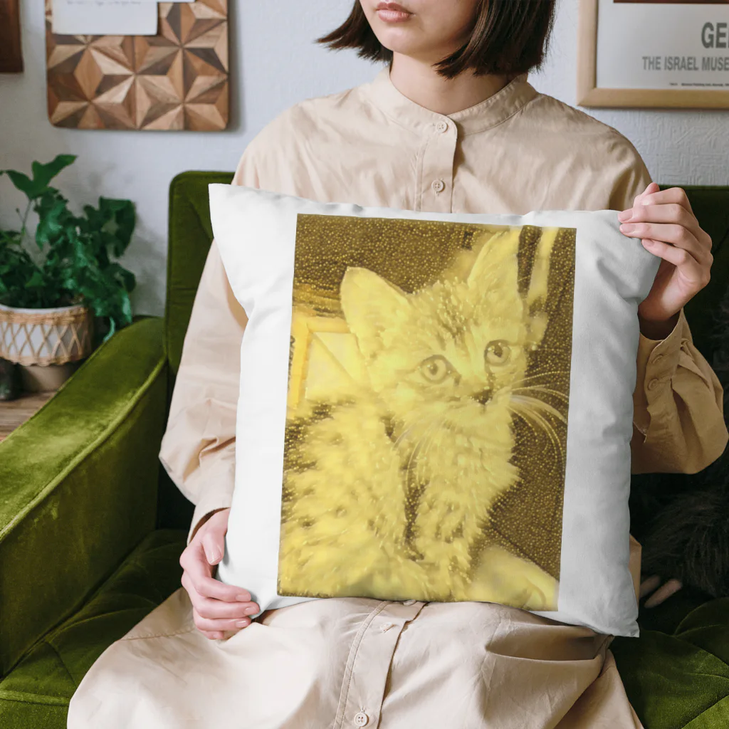 金色猫のキラキラネコ Cushion