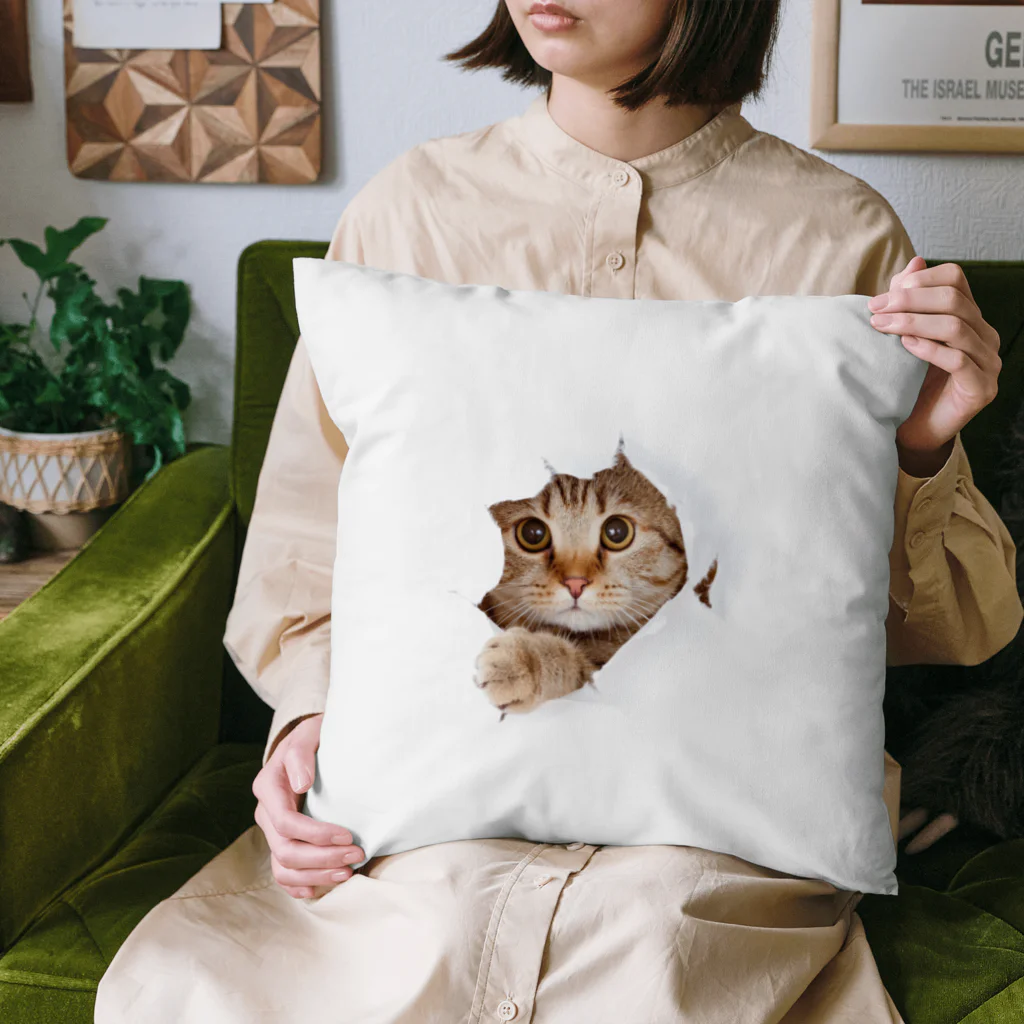 ただの猫好きのWhite Free Cute Funny Cat T-shirt Cushion