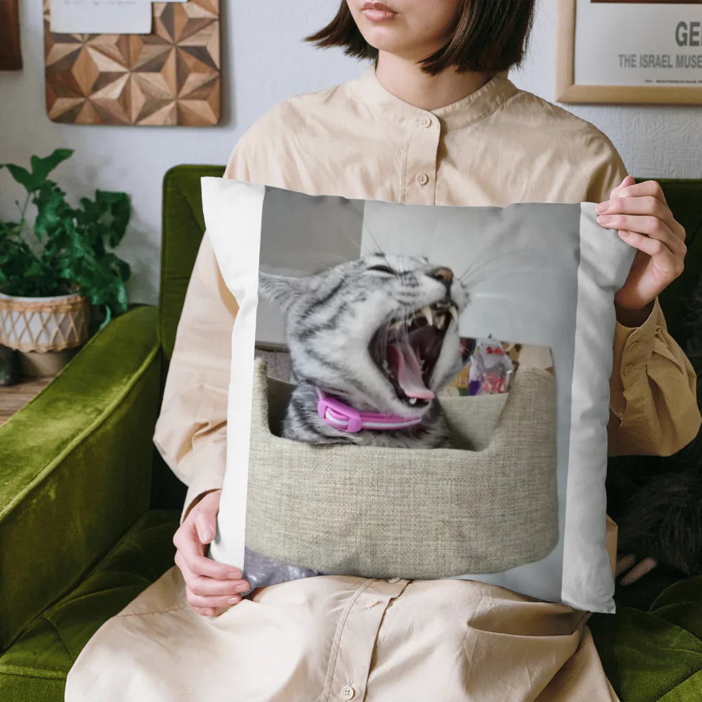 Grayの大怪獣 Cushion