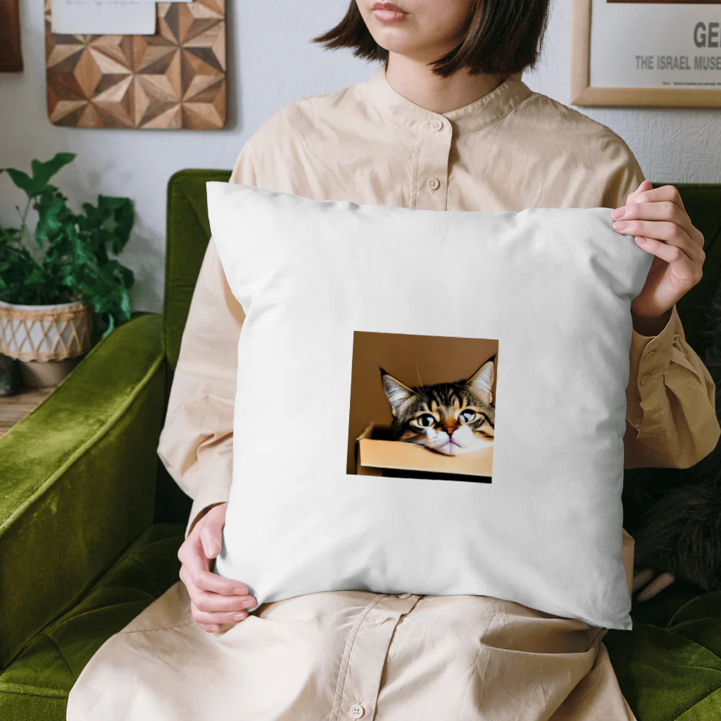 チェリオの箱に入った可愛い猫 Cushion