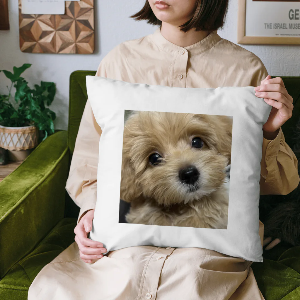 CreativeExplorerの愛犬くん Cushion