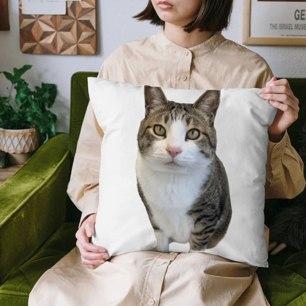 ねこぽてちのポテチくん Cushion