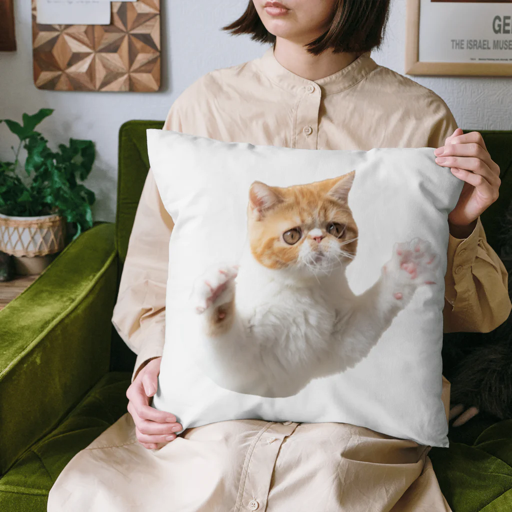 エキゾ🐟おととのおととちゃん Cushion