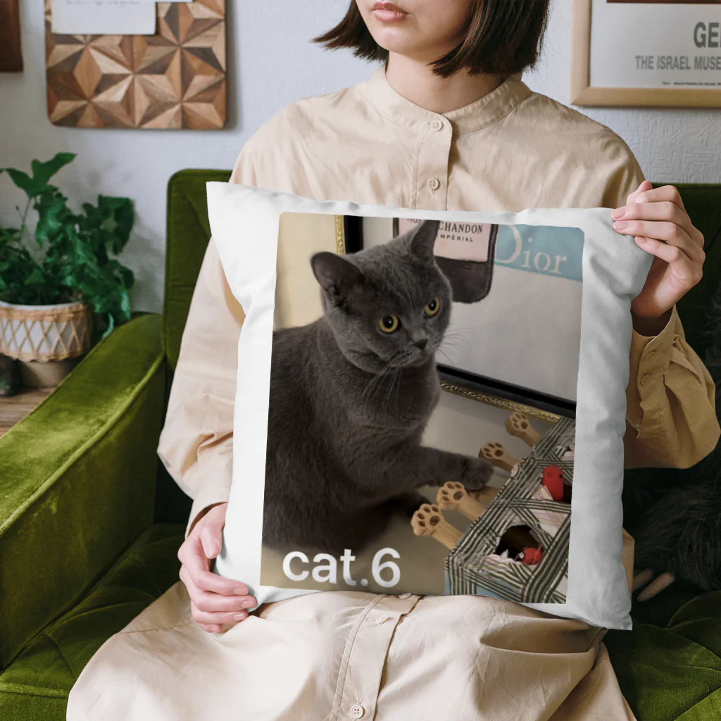 cat.6のイブ姉さん Cushion