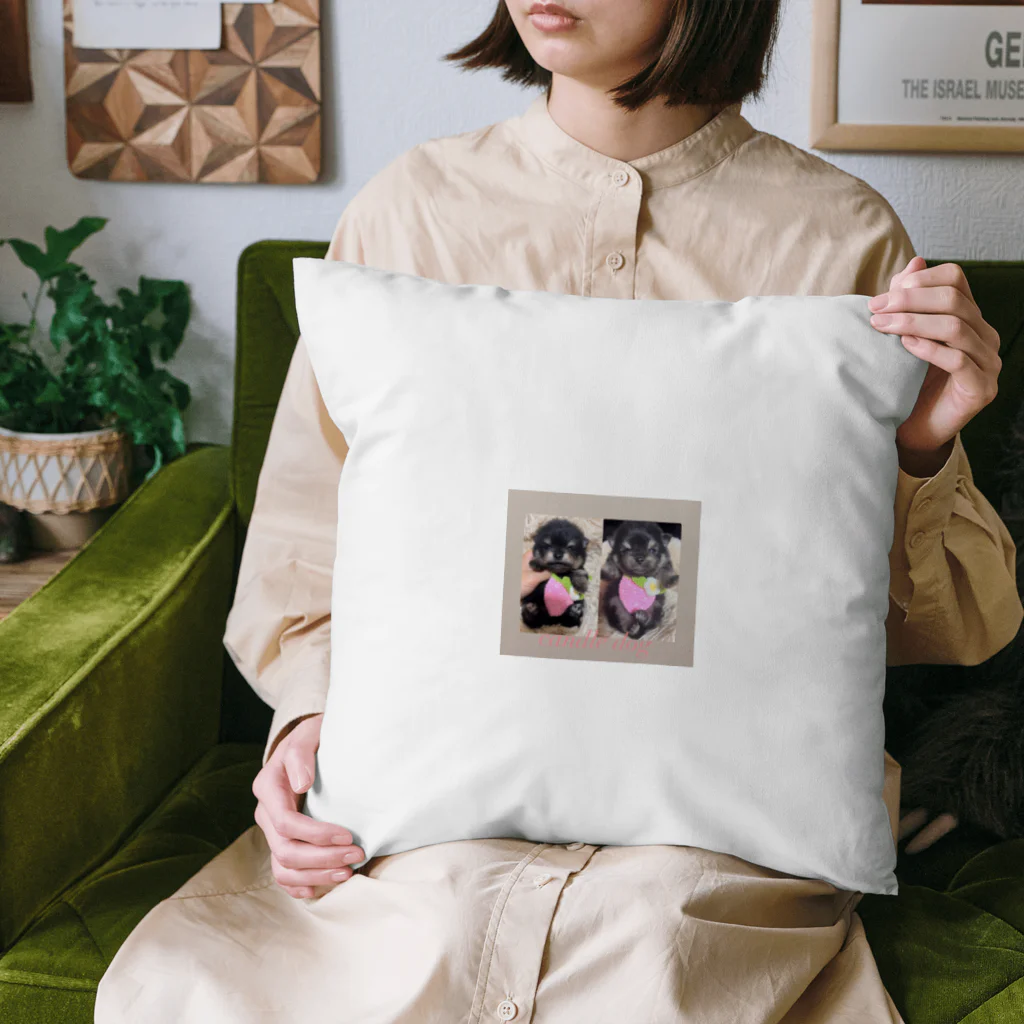 キャンドルドックの可愛いブラックタン兄弟 Cushion