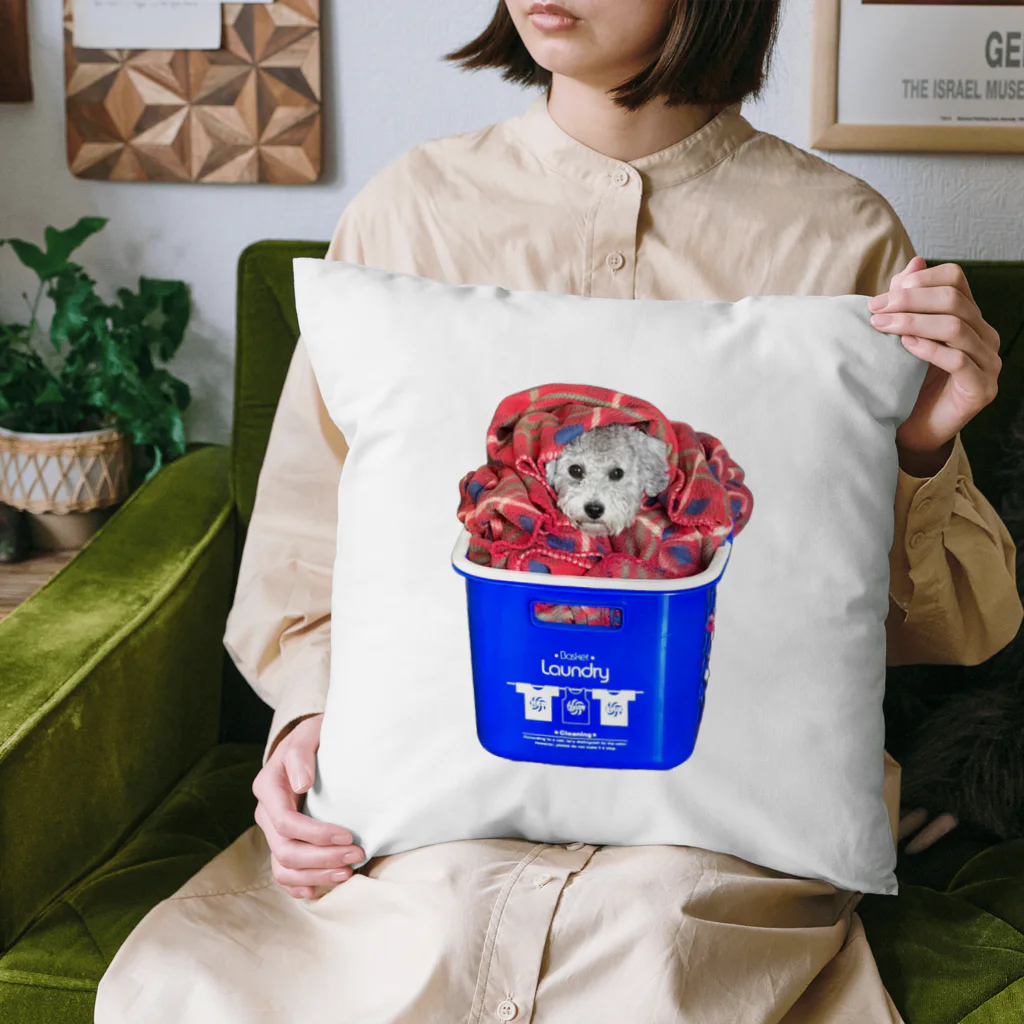 ストレス解消に限定癒しのシルバートイプードルあります❤️の『ハッピー・トイプードル・サプライズ』フォトアート Cushion