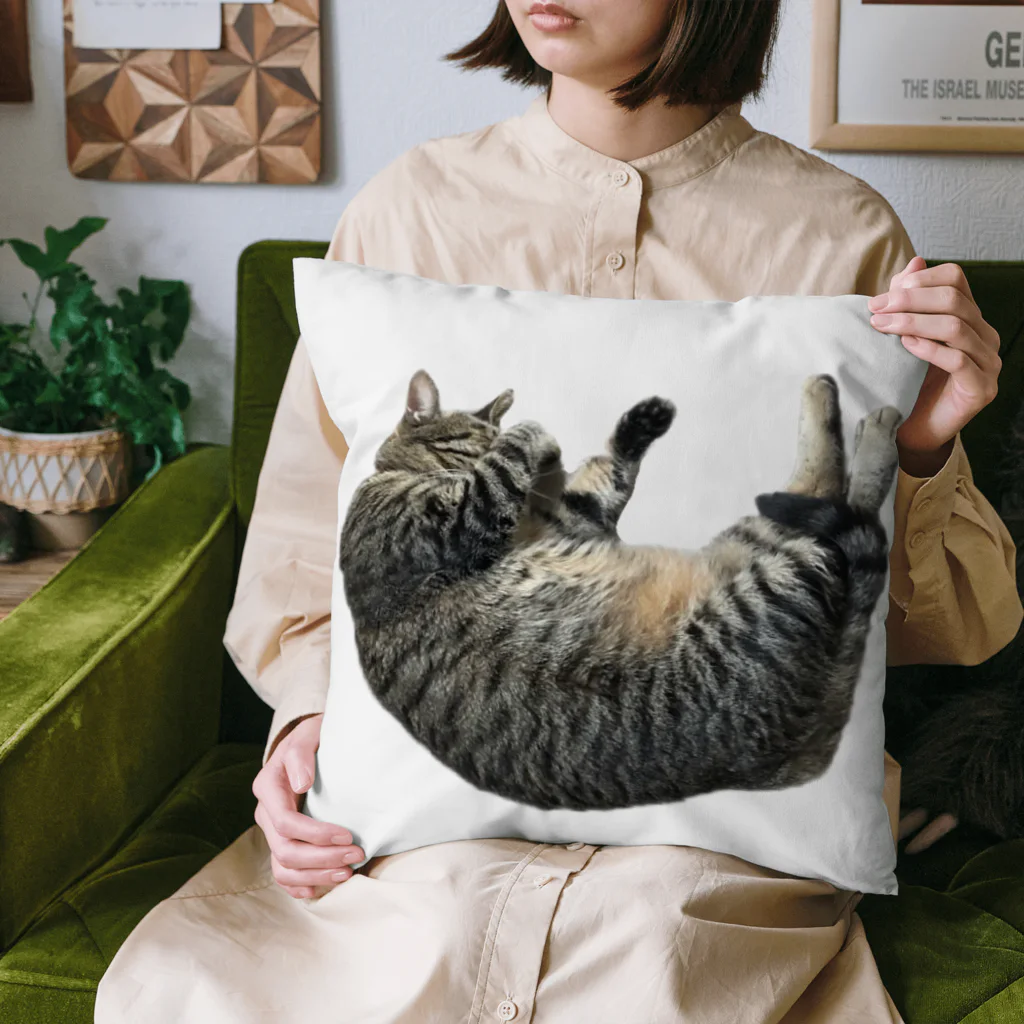 あんなちゅらるのこんなところに猫が落ちてる Cushion