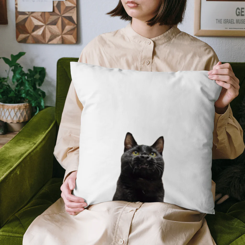 ８９６の黒猫 Cushion