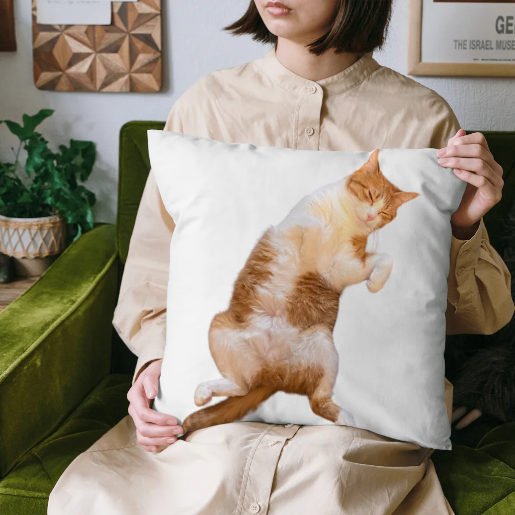 あいりのヘソ天むぎちゃん Cushion