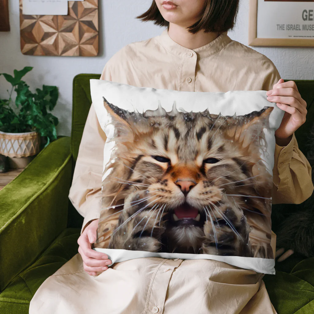 日向ぼっこのずぶ濡れ猫 Cushion