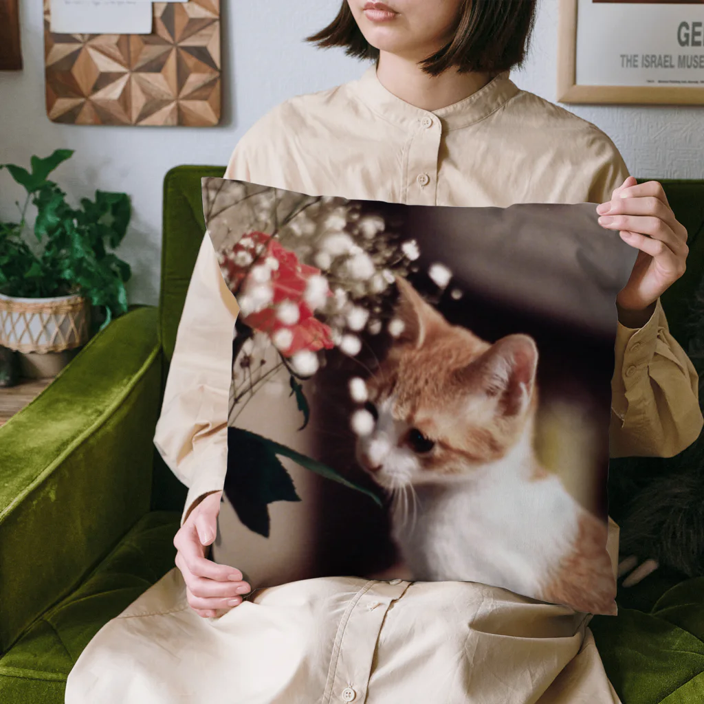 LISPの哀愁の猫ちゃん Cushion