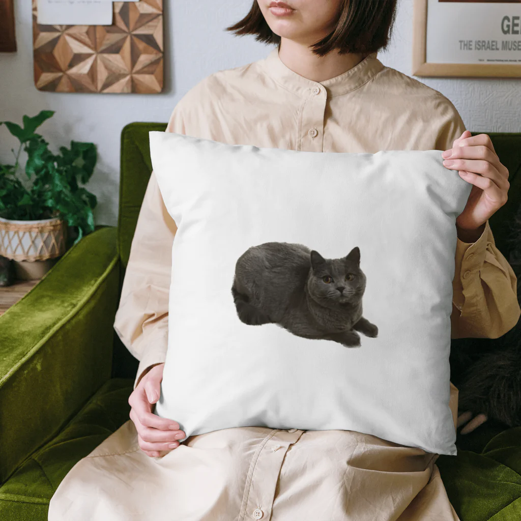 ふももショップの⭐︎ふーちゃんメイン Cushion