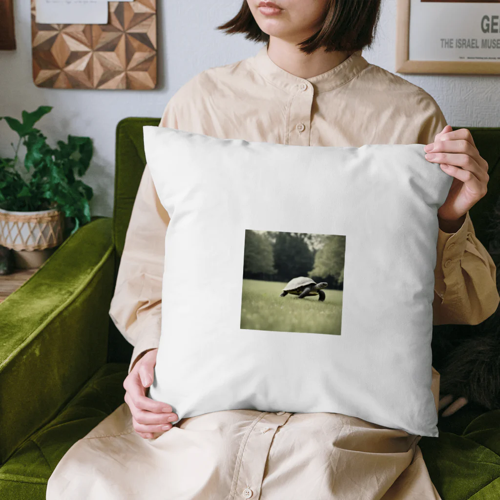 hinn-ketuの４、カメのお散歩 Cushion