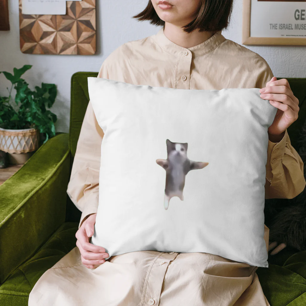 猫ミームグッズの【猫ミーム】Happy Happy Cat Cushion