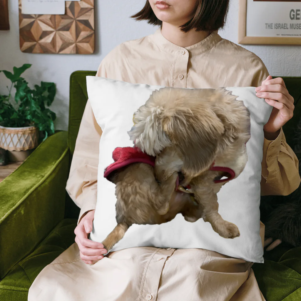 Ruice-Iceの犬　ガジガジ Cushion