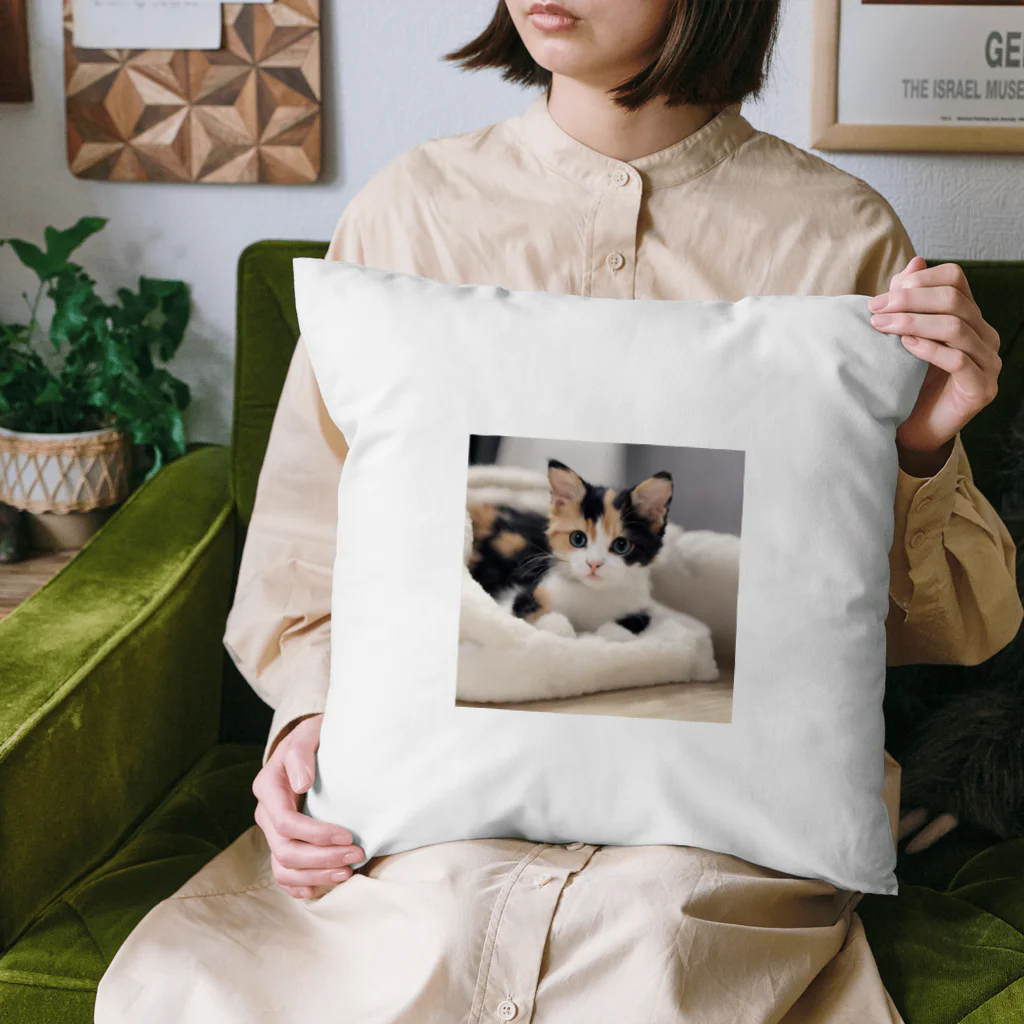 癒しリフレッシュの愛らしい子猫ちゃん Cushion