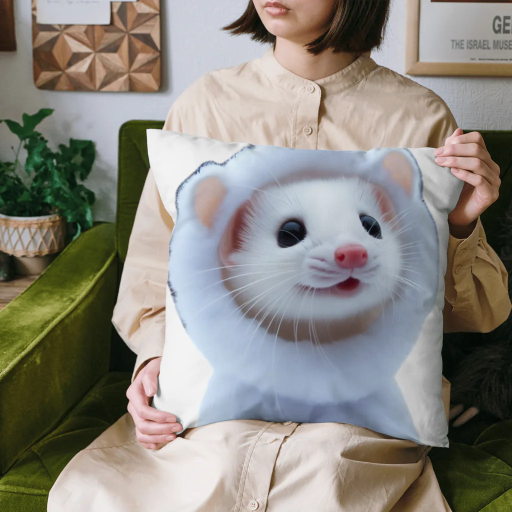 HaIMaRuKoのイタチ　イん　いたち Cushion